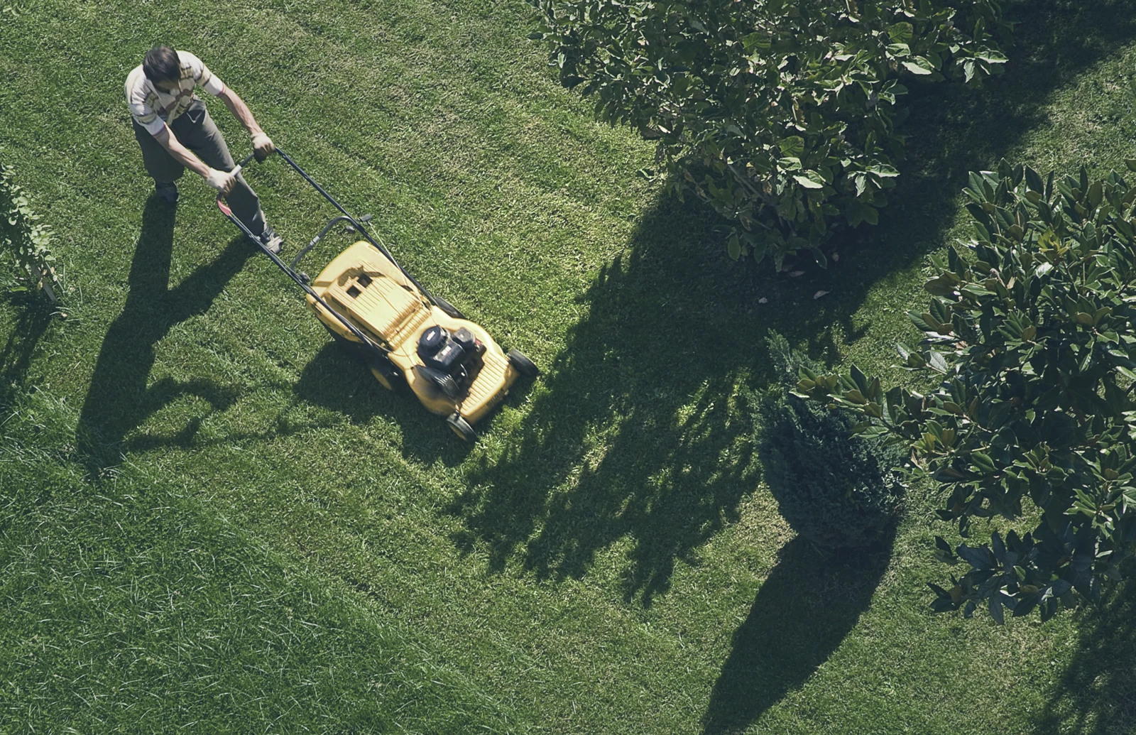 Lawn Mowing Scene